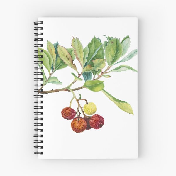 Aperçu de l'œuvre Arbutus Unedo créée et vendue par FatimaValeriano.
