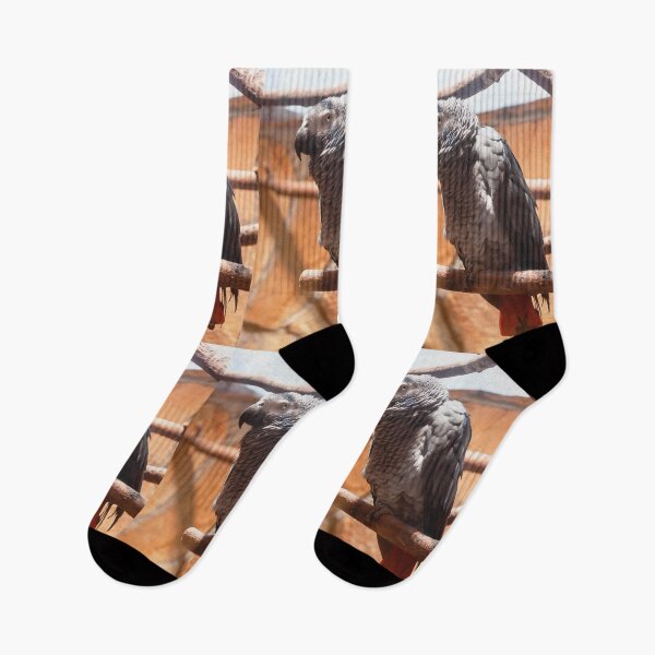Item preview, a grey parrot sits on a branch designed and sold by nataliavavilina.