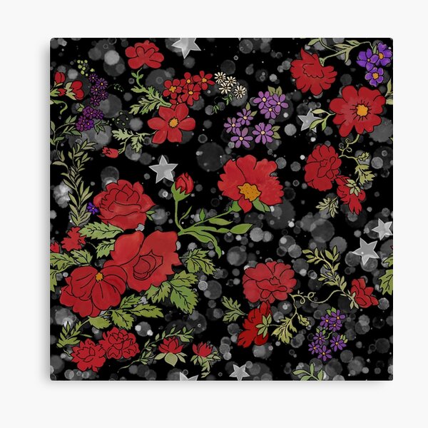 Red Cottage Rose on Black Star Background Canvas Print