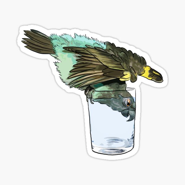 Drinking Meyer's Parrot Sticker