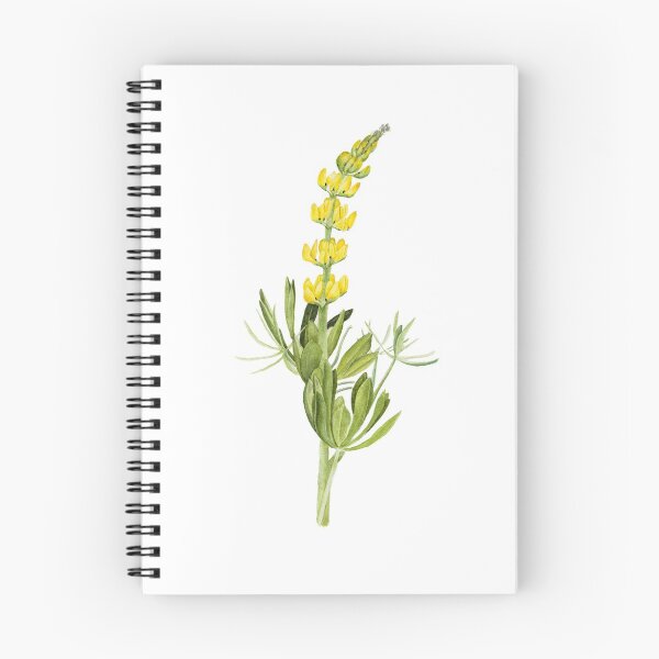Item preview, Lupinus designed and sold by FatimaValeriano.