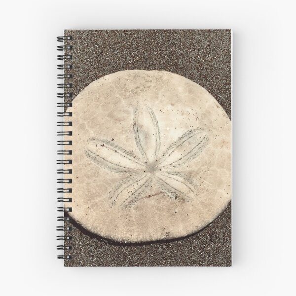 Item preview, Sand dollar designed and sold by roadwarriorart.