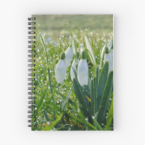 Item preview, Spring 2021 Snowdrops designed and sold by TagSlap.