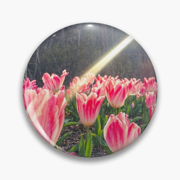 Item preview, Pink Blush Tulips designed and sold by thegraypocket.