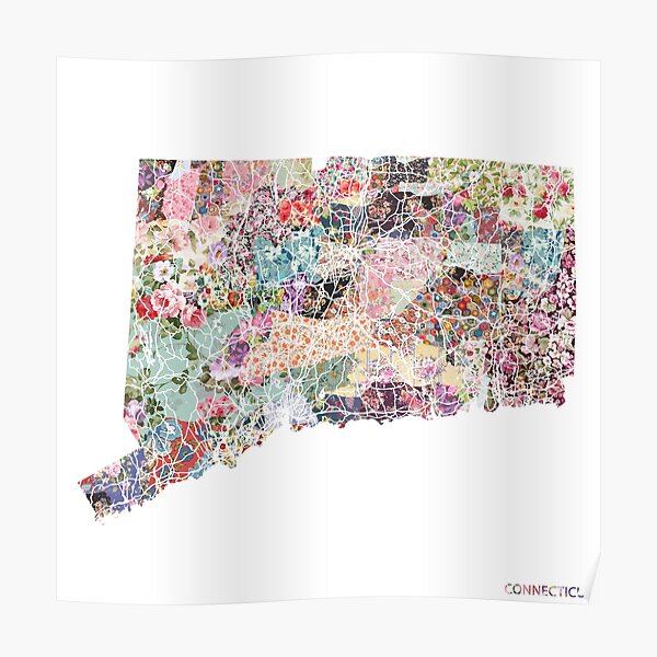 Connecticut map Poster