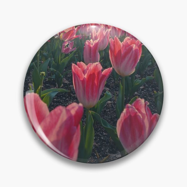 Item preview, Poppy Warm Pink Tulips designed and sold by thegraypocket.