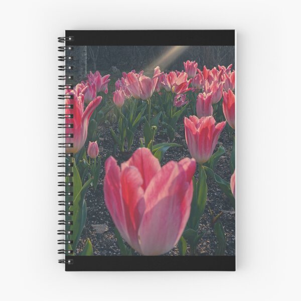 Item preview, Poppy Warm Pink Tulips designed and sold by thegraypocket.
