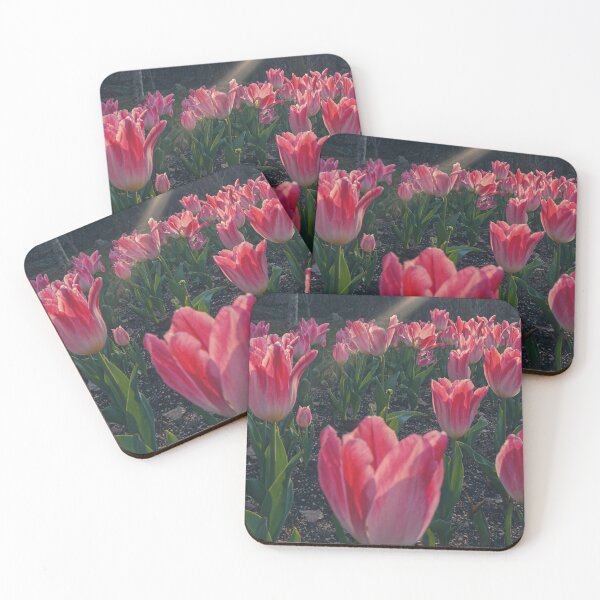 Item preview, Poppy Warm Pink Tulips designed and sold by thegraypocket.