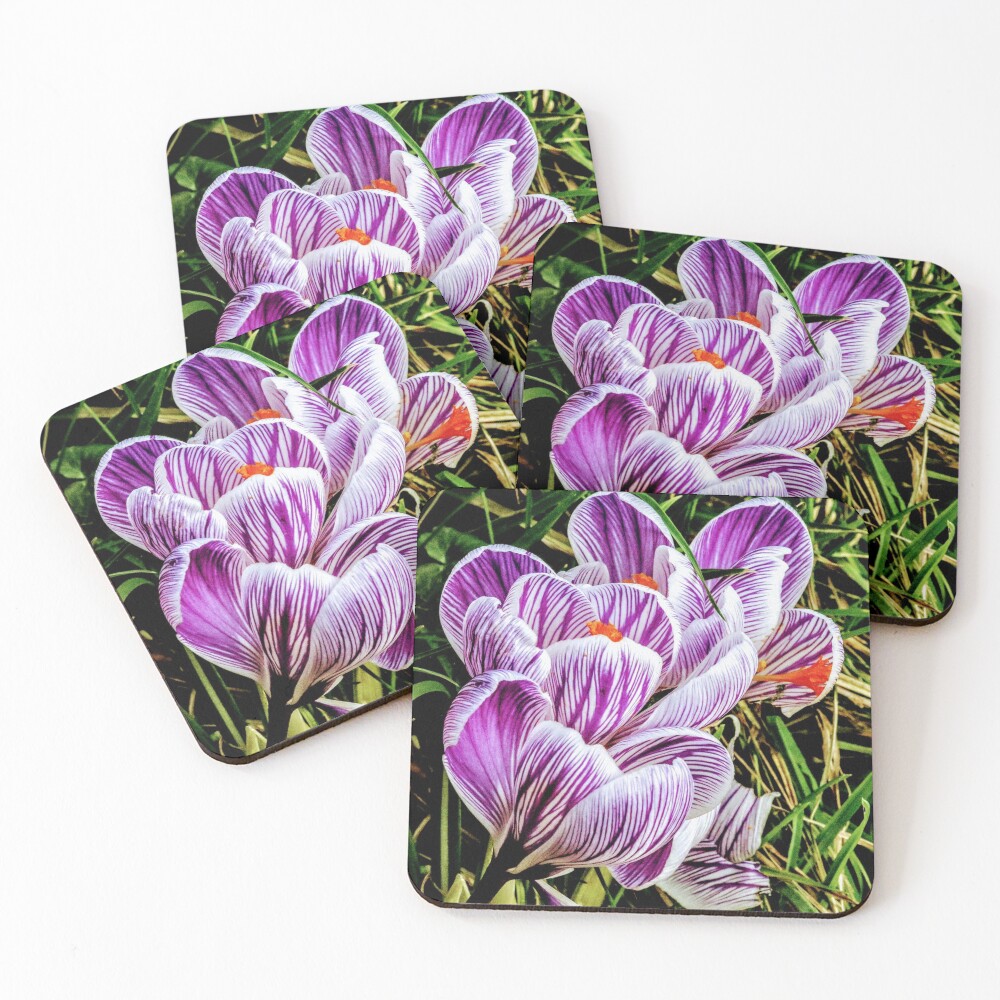 Flowers Coasters (Set of 4)