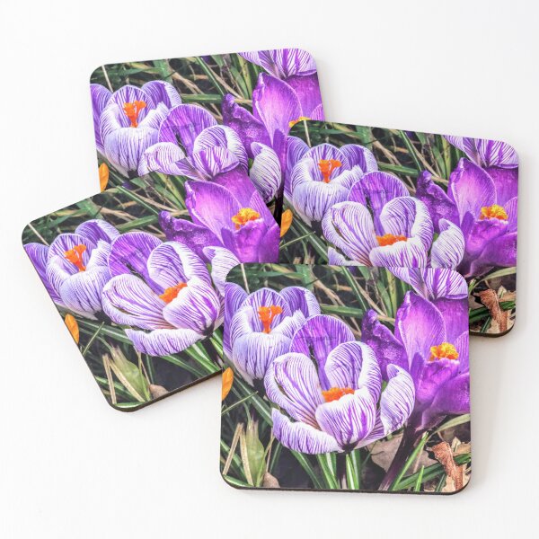 Item preview, Flowers 2  designed and sold by Seashorepics.