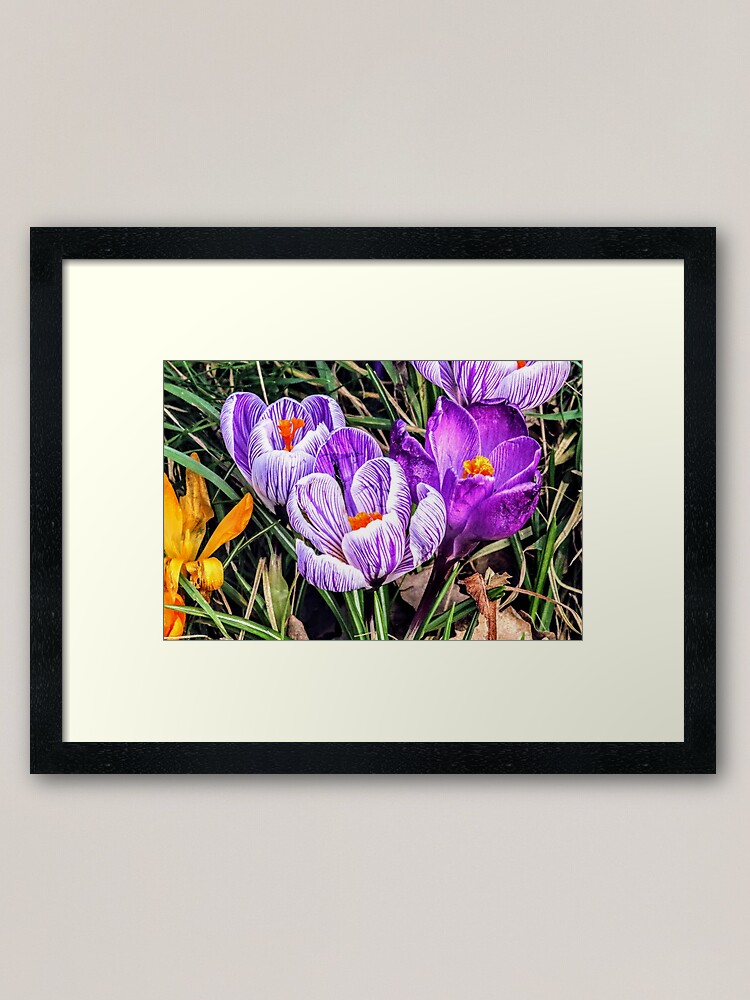 Alternate view of Flowers 2 Framed Art Print