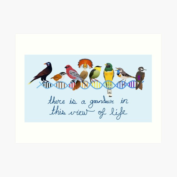 There is a grandeur in this view of life Art Print