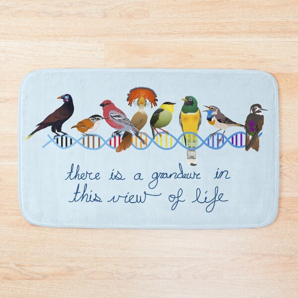 Item preview, There is a grandeur in this view of life designed and sold by jfmclaughlin92.
