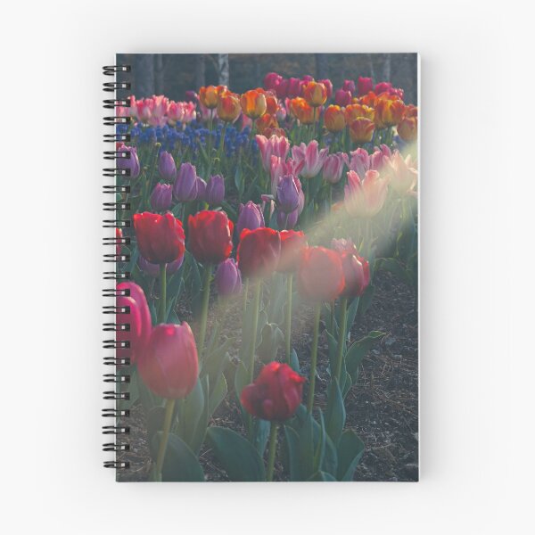 Item preview, Cool Colorful Tulip Garden designed and sold by thegraypocket.