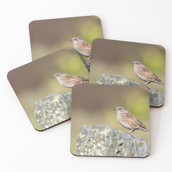 Item preview, A dunnock bird in the UK designed and sold by Itsgrimupnorth.