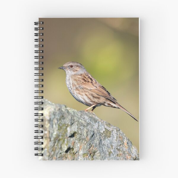 Item preview, A dunnock bird in the UK designed and sold by Itsgrimupnorth.