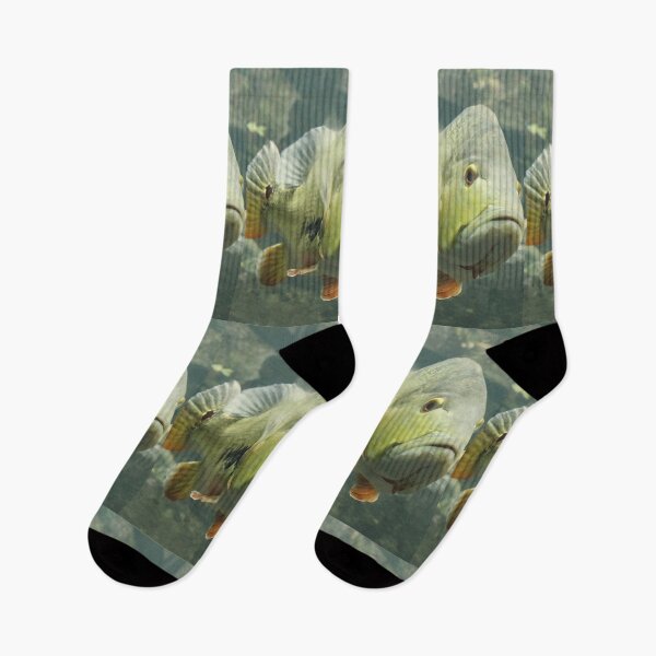 Item preview, Fish Image designed and sold by Jodes16.