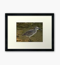 hunting - cazando Framed Print