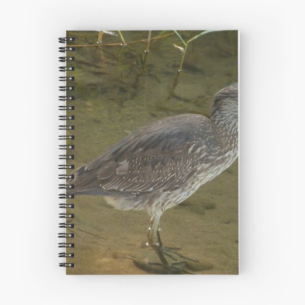 Item preview, hunting - cazando designed and sold by Bernhard Matejka.