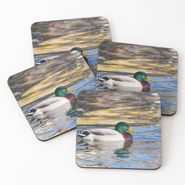 Item preview, Mallard drake reflections designed and sold by GreyFeatherPhot.