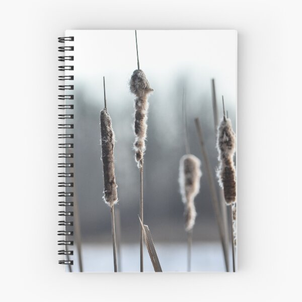 Item preview, Cattails designed and sold by Gamora1067.