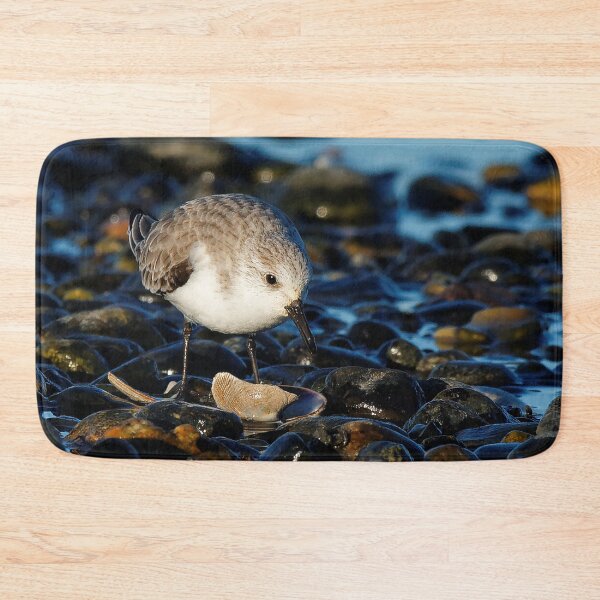 Item preview, Cute Sanderling Dines on Tasty Clam designed and sold by walkswithnature.