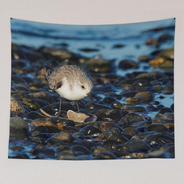 Item preview, Cute Sanderling Dines on Tasty Clam designed and sold by walkswithnature.