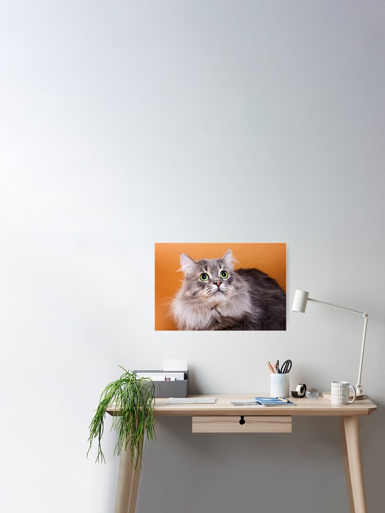 Police Siberian Cat' Poster by MaximusDesigns