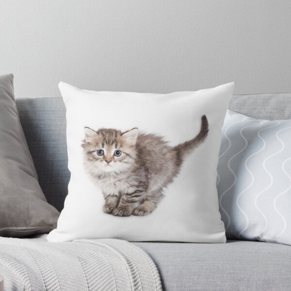 Item preview, Charming fluffy kitten Siberian cat designed and sold by utekhina.