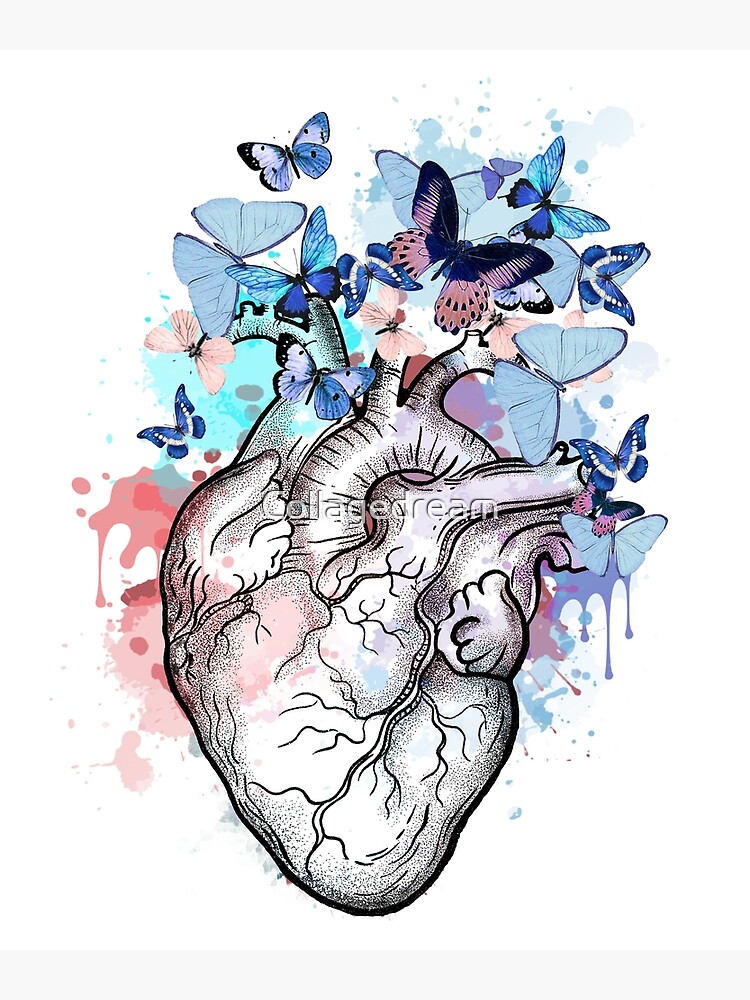 flowers and butterflies and hearts drawings