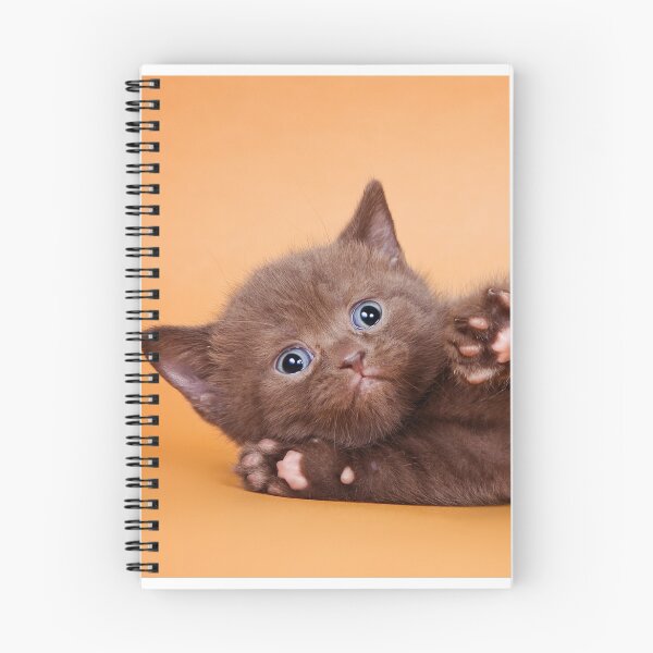 Item preview, Charming fluffy kitten British cat designed and sold by utekhina.