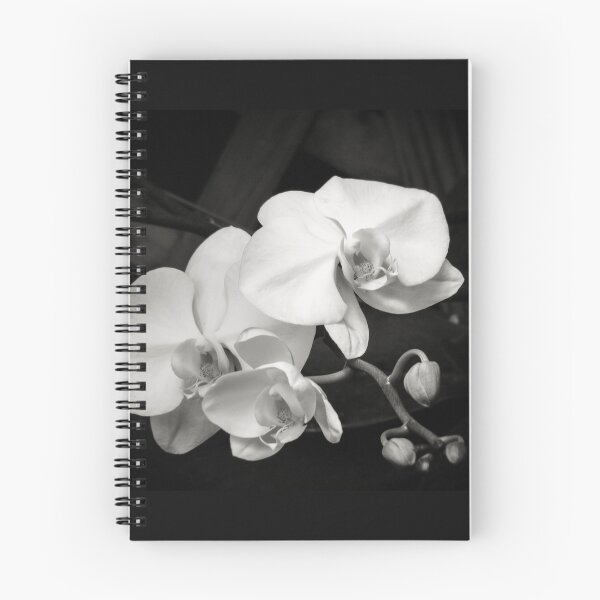 Item preview, Black and White Beauties-Together designed and sold by lmocimages.