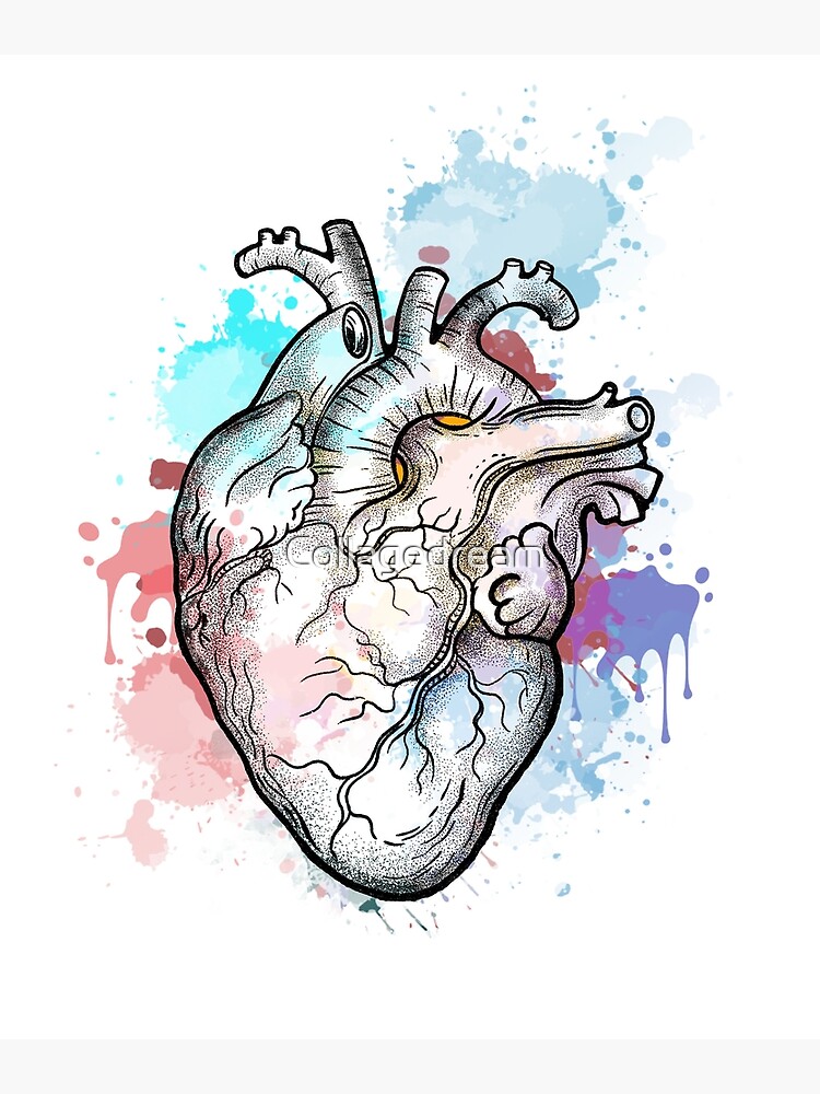 Anatomical Heart Acrylic Blank