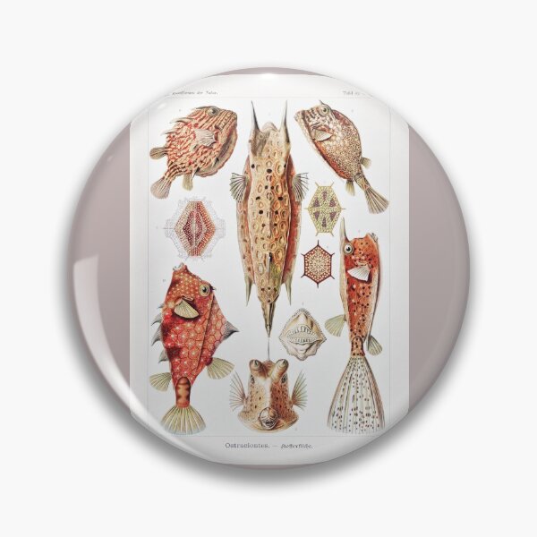Item preview, Boxfish Pufferfish Types Marine Fish Keeper Saltwater Reef Aquarist designed and sold by TheAplus.