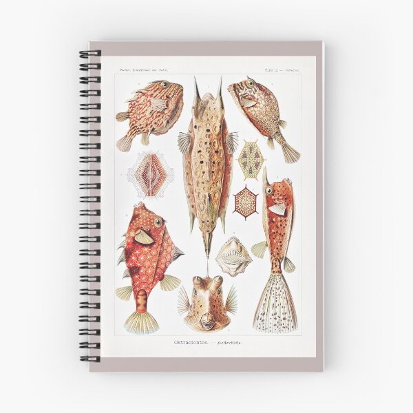 Item preview, Boxfish Pufferfish Types Marine Fish Keeper Saltwater Reef Aquarist designed and sold by TheAplus.