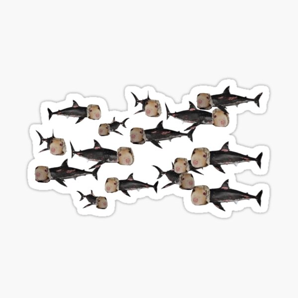 FLAPSHARKS Sticker