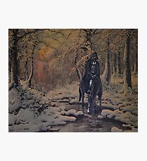 Quiet Morning Photographic Print