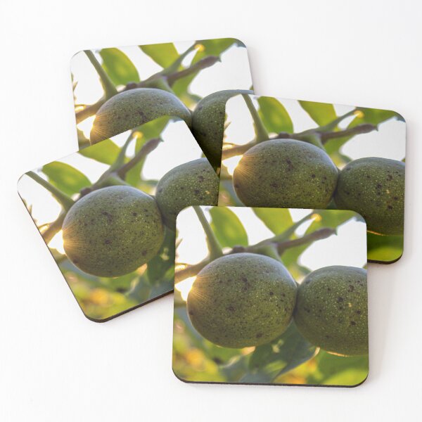 Item preview, Two green walnuts on a branch with a leaves designed and sold by Mahirov Shop.