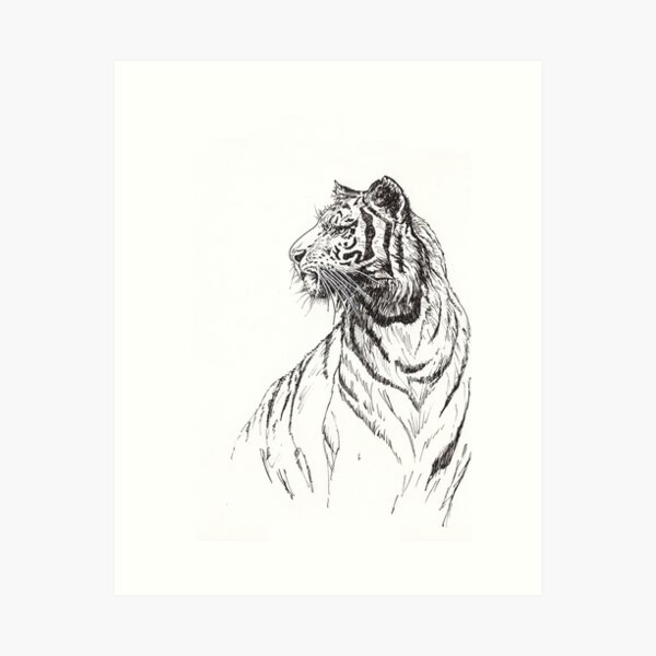 Tiger Art Print