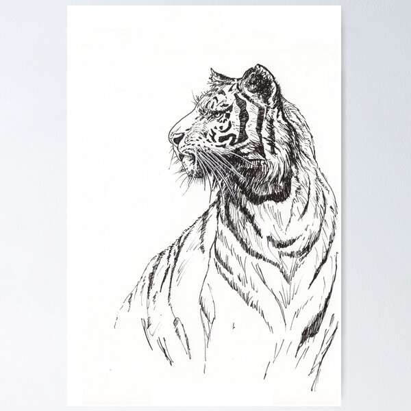 Tiger Poster