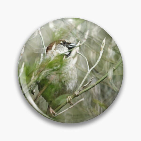 Artikelvorschau, Sparrow entworfen und verkauft von bokehlein.