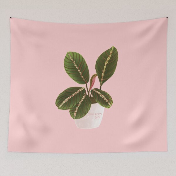 Item preview, You grow, girl! - Maranta leuconeura designed and sold by frnknsteinn.