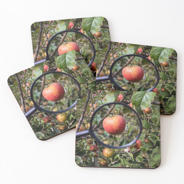 Item preview, Examination of apples designed and sold by Mahirov Shop.