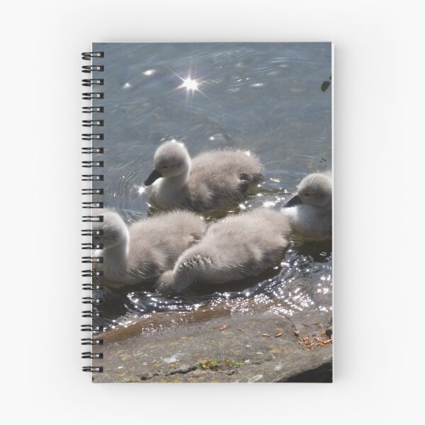 Item preview, Cygnets designed and sold by wenniewombat.