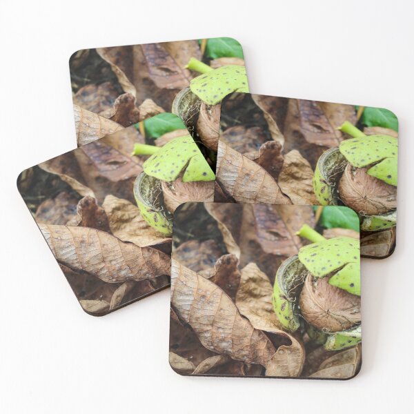Item preview, Walnut fruit on leaves and grass designed and sold by Mahirov Shop.