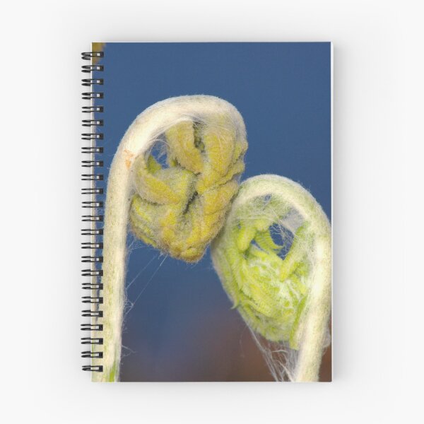 Item preview, The Lovers designed and sold by Linda Sannuti.