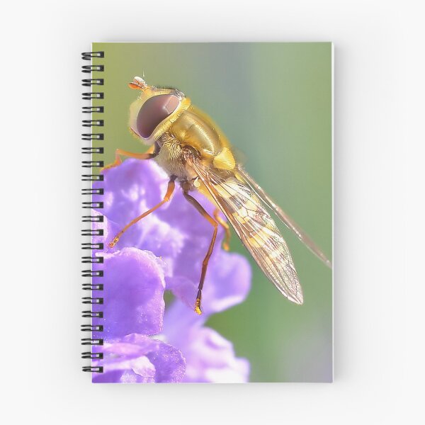 Item preview, Hoverfly on Purple Flower designed and sold by relayer51.