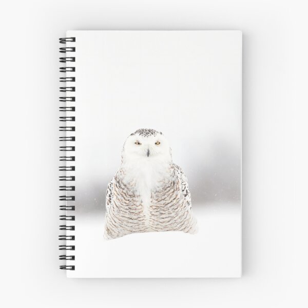 Item preview, Crazy Eyes - Snowy Owl designed and sold by James Cumming.