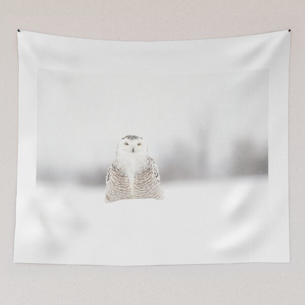 Item preview, Crazy Eyes - Snowy Owl designed and sold by James Cumming.