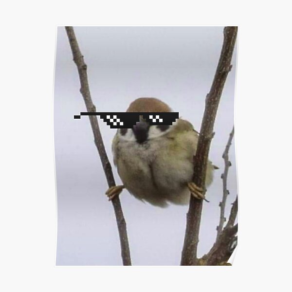 Like a boss - Funny Cute Poster
